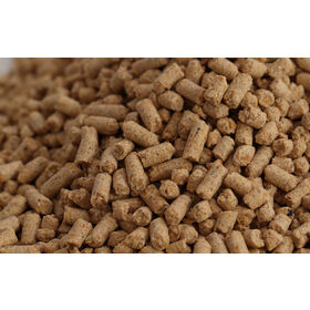 Aliment démarrage ponte